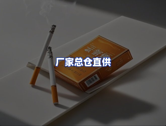 专业团队